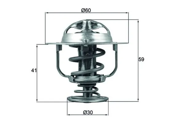 Thermostat, coolant