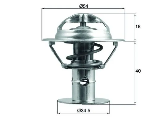 Thermostat, coolant