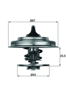 Thermostat, coolant