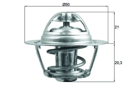 Thermostat, coolant