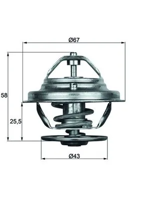 Thermostat, coolant