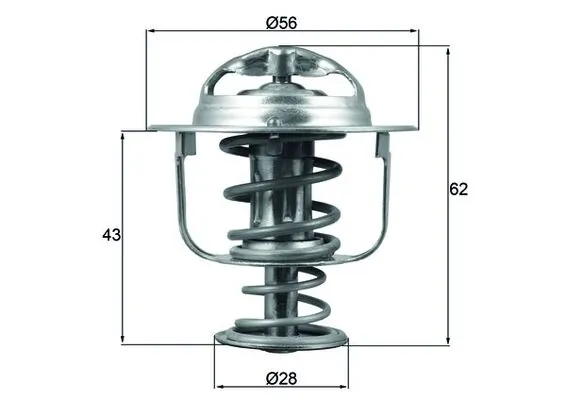 Thermostat, coolant
