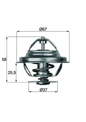 Thermostat, coolant