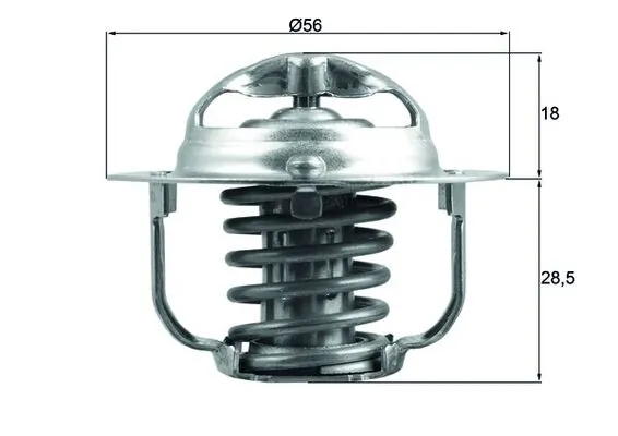 Thermostat, coolant