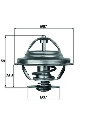 Thermostat, coolant
