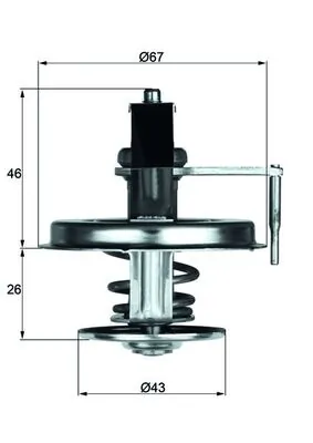 Thermostat, coolant