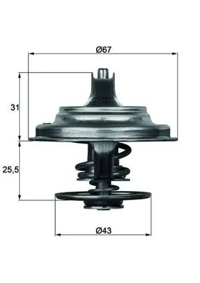 Thermostat, coolant