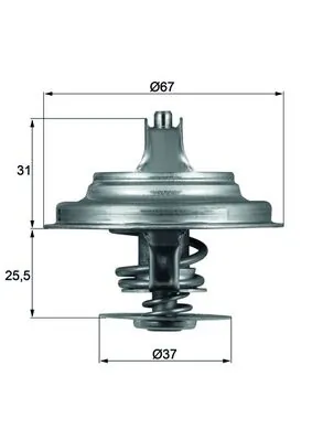 Thermostat, coolant