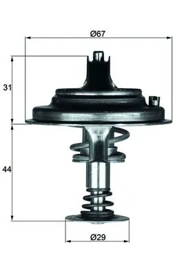 Thermostat, coolant