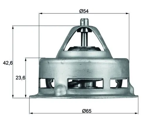 Thermostat, coolant