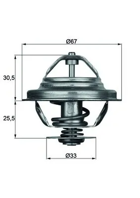 Thermostat, coolant