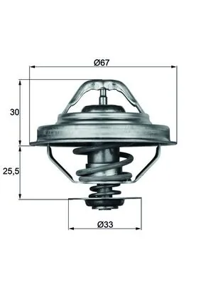 Thermostat, coolant