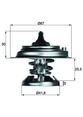 Thermostat, coolant