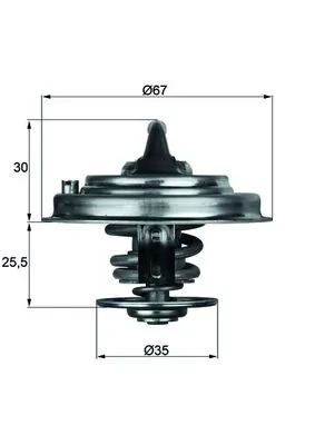Thermostat, coolant