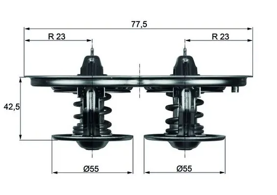 Thermostat, coolant