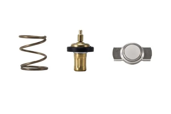 Thermostat, coolant