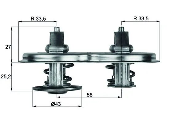Thermostat, coolant