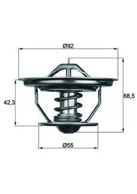 Thermostat, coolant