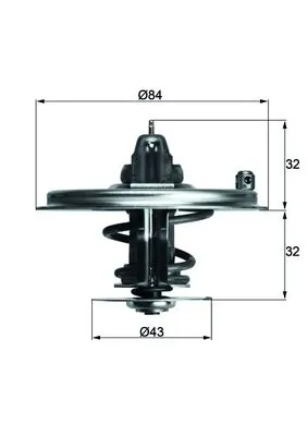 Thermostat, coolant