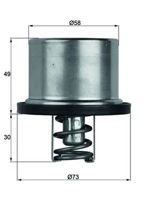 Thermostat, coolant