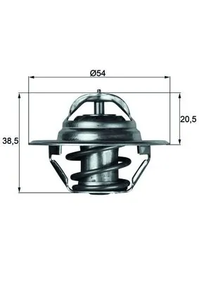 Thermostat, coolant