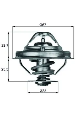 Thermostat, coolant