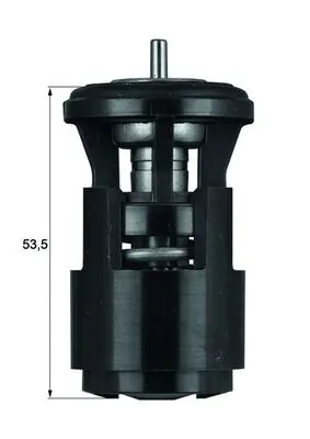 Thermostat, coolant