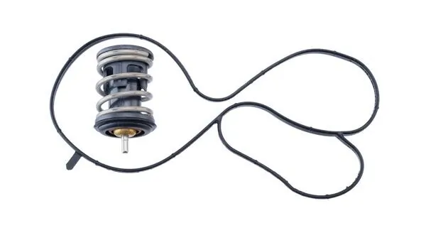 Thermostat, coolant