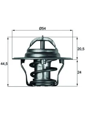Thermostat, coolant