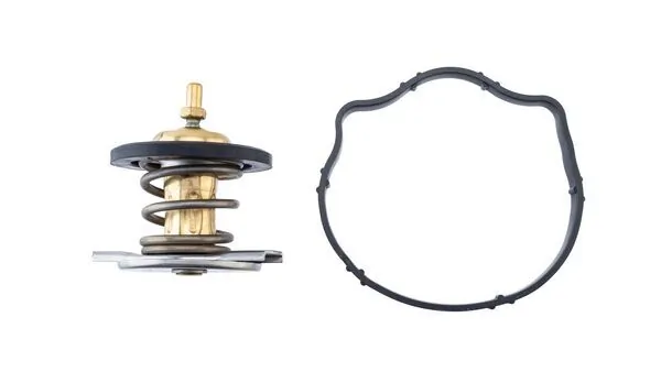 Thermostat, coolant