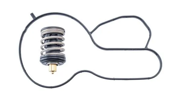 Thermostat, coolant