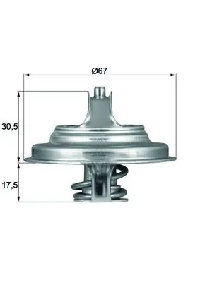 Thermostat, coolant