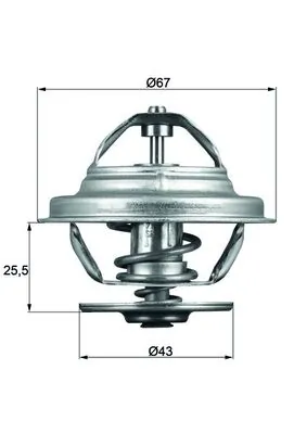 Thermostat, coolant