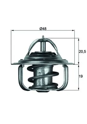 Thermostat, coolant