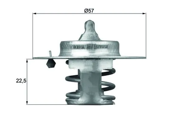 Thermostat, coolant