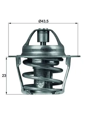 Thermostat, coolant