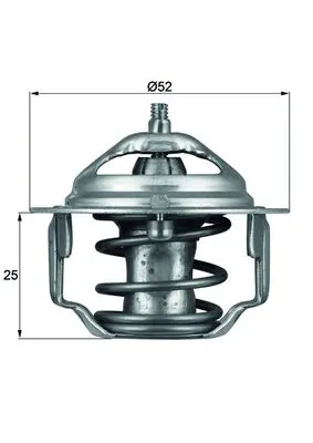 Thermostat, coolant