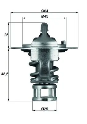 Thermostat, coolant
