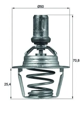 Thermostat, coolant