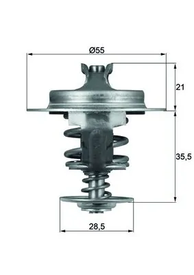 Thermostat, coolant