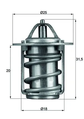 Thermostat, coolant