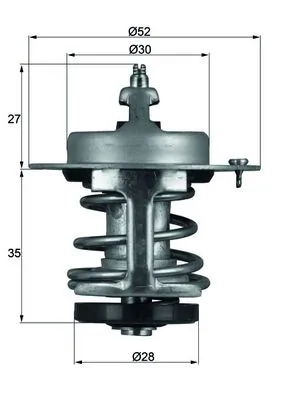 Thermostat, coolant
