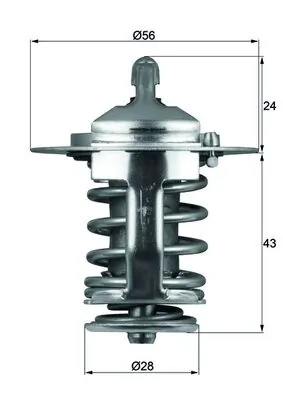 Thermostat, coolant