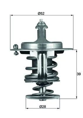 Thermostat, coolant