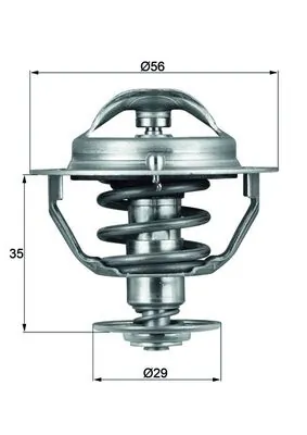 Thermostat, coolant