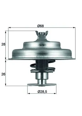 Thermostat, coolant