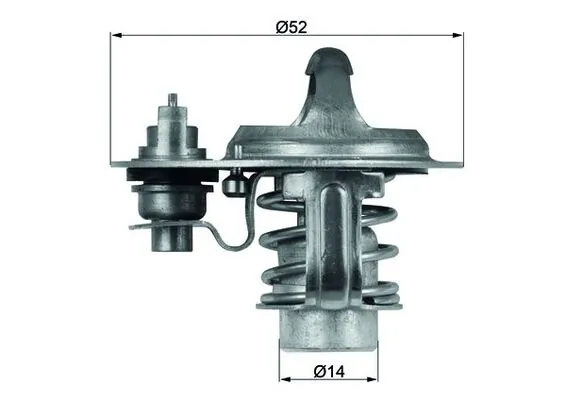 Thermostat, coolant