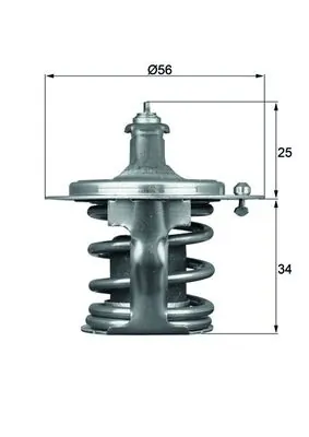 Thermostat, coolant