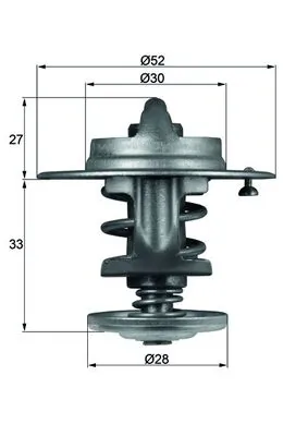 Thermostat, coolant