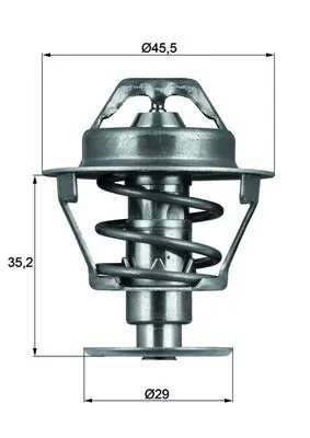 Thermostat, coolant